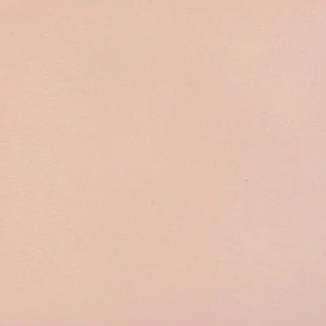 Borgo Pink Porcelain Matte, Polished 2.5 X 8 Tile | Neshada | Floors & Baths Pro's