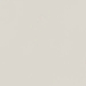  Subway Borgo Soft Grey Porcelain Matte, Polished 2.5 X 8 Tile | Neshada 