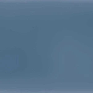 Santelmo Navy Porcelain Polished 2.5 X 8 Subway Tile | Neshada | Floors & Baths Pro's
