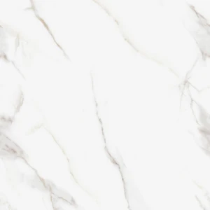 Image 5 of Carolina Regallia 24x48 Matte Porcelain Tile | Global Surfaces sold at Floors & Baths Pro's