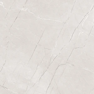  37", AfmBOoqLV55Z_DQVDujoB4L8EpiPOIIwcagDojsq7ZVvwroflgLhyh44 12153R Se 24x48 Matte Porcelain Tile | Global Surfaces 