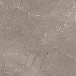  Prema Series 12157R Se 24x48 Matte Porcelain Tile | Global Surfaces 
