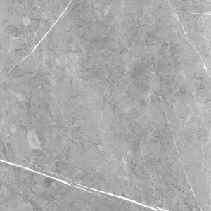  Prema Series Ciana Nero Polished 24x48 Polished Porcelain Tile | Global Surfaces 