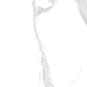 wall tiles Polished Calcatta Miami 24x48 Polished Porcelain Tile | Global Surfaces | Floors & Baths Pro's