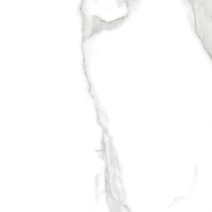  Pura Series, 2" Polished Calcatta Miami 24x48 Polished Porcelain Tile | Global Surfaces 