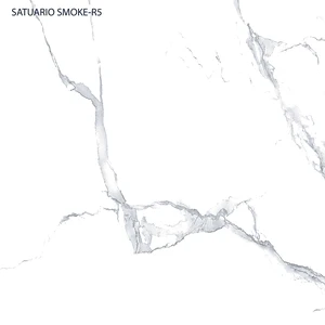 Image 5 of Statuario Smoke 24x24 Matte Porcelain Tile | Global Surfaces sold at Floors & Baths Pro's
