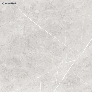  21", AfmBOooV6Ziiwhju_BnTjgVXmqXI8VU2TJ00GHJvIkkCxpvntKGH_PJ1 Ciana Grey Pol 24x24 Polished Porcelain Tile | Global Surfaces 