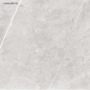 Image 2 of Ciana Grey Pol 24x24 Polished Porcelain Tile | Global Surfaces sold at Floors & Baths Pro's