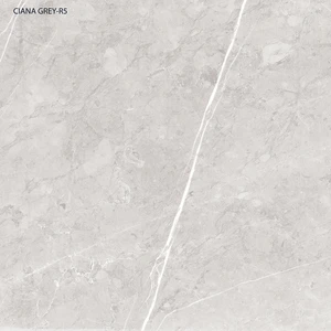 Image 5 of Ciana Grey Pol 24x24 Polished Porcelain Tile | Global Surfaces sold at Floors & Baths Pro's