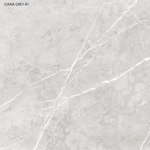  44" Ciana Grey Matt 24x24 Matte Porcelain Tile | Global Surfaces 