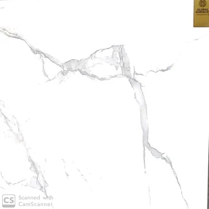  Erika Decor Series Satuario Grey 24x24 Polished Porcelain Tile | Global Surfaces 