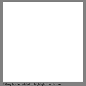 Super White 6001P Se 24x24 Polished Porcelain Tile | Global Surfaces | Floors & Baths Pro's