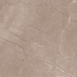 12156R 24x24 Matte Porcelain Tile | Global Surfaces | Floors & Baths Pro's