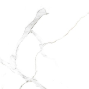 floor tiles Calacata Bianco 701 Matt 12x24 Matte Porcelain Tile | Global Surfaces | Floors & Baths Pro's