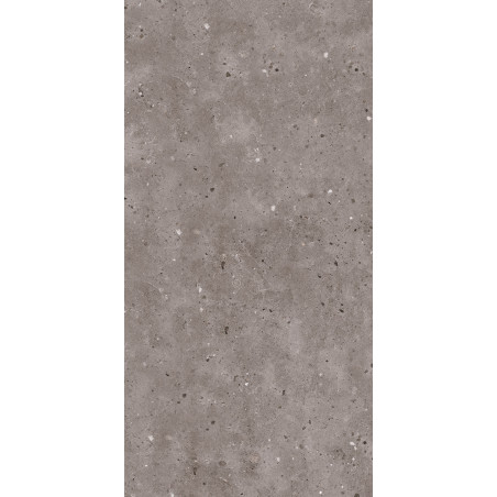  Thassos Collection, 28" Cronos Cool Grey 24x48 Matte Porcelain Tile | Global Surfaces 