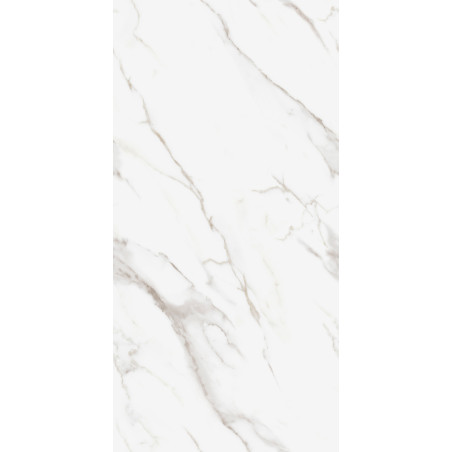  Brickx Series, 20" Carolina Regallia 24x48 Matte Porcelain Tile | Global Surfaces 