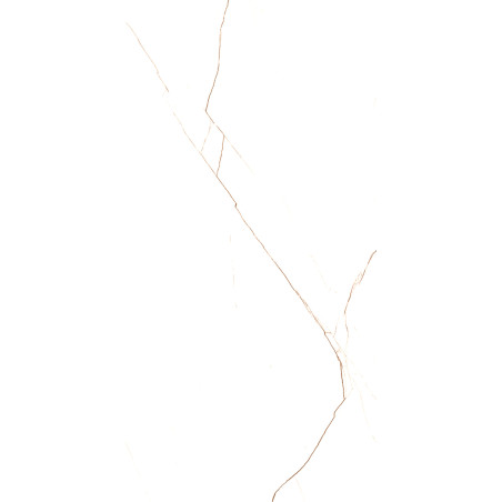  8" X 8", 35" Bruno Chocho 24x48 Polished Porcelain Tile | Global Surfaces 