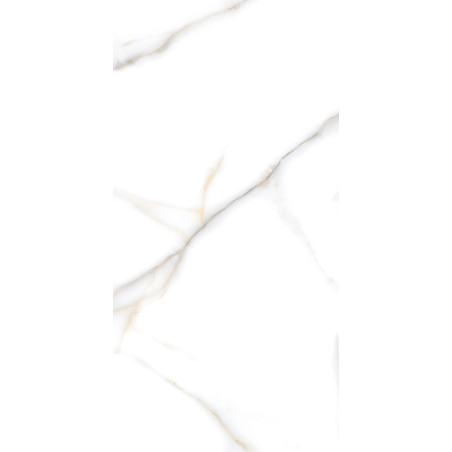  Elite Concrete Series, 18" Vatican Statuario 24x48 Polished Porcelain Tile | Global Surfaces 