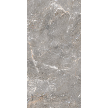  Lemmy, 21" Oliampia Grey Polished 24x48 Polished Porcelain Tile | Global Surfaces 