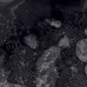 Galaxy Series, 27" 12181H 24x48 Polished Porcelain Tile | Global Surfaces