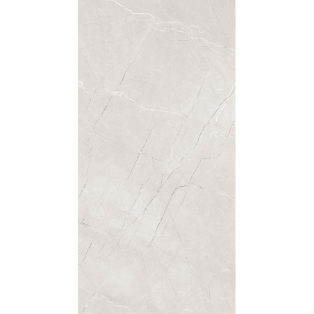  29", AfmBOooY2TJPl9YT_X0CMcA2ZwfdTJClIJ0Scpk_I ogzrsxptglgax6 12153R Se 24x48 Matte Porcelain Tile | Global Surfaces 