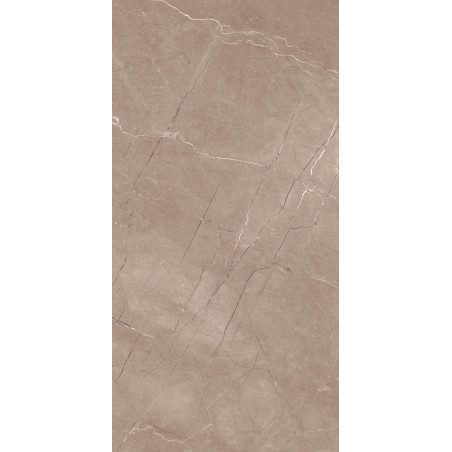  Nü Pür, 20" 12156R Se 24x48 Matte Porcelain Tile | Global Surfaces 