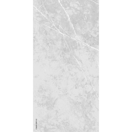  24" X 48", 31" Ciana Grey Polished 24x48 Polished Porcelain Tile | Global Surfaces 