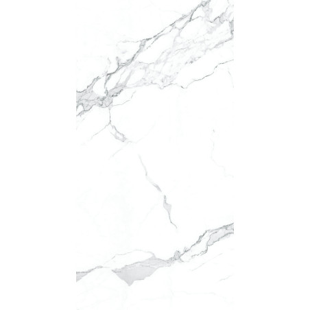  Nü Pür, 44" Matt Classic Estatuario 24x48 Matte Porcelain Tile | Global Surfaces 