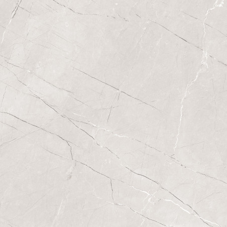  30", AfmBOooY2TJPl9YT_X0CMcA2ZwfdTJClIJ0Scpk_I ogzrsxptglgax6 Se 12153R 24x24 Matte Porcelain Tile | Global Surfaces 