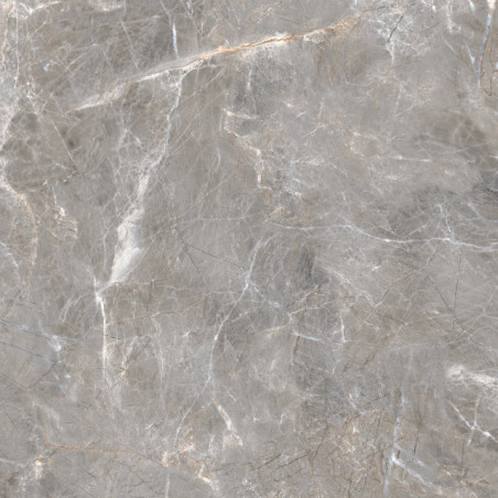  Royal Series, 18" Oliampia Grey 24x24 Polished Porcelain Tile | Global Surfaces 