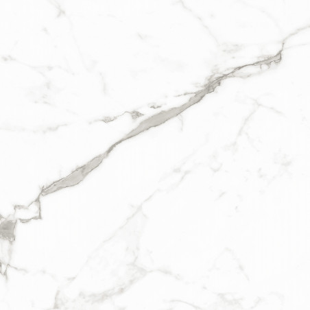  29", AfmBOooY2TJPl9YT_X0CMcA2ZwfdTJClIJ0Scpk_I ogzrsxptglgax6 12053R 24x24 Matte Porcelain Tile | Global Surfaces 