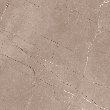  Lemmy, 21" 12156R 24x24 Matte Porcelain Tile | Global Surfaces 
