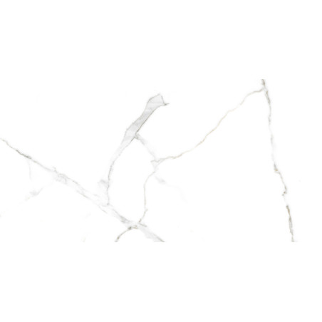  Vita Series, 14" Calacata Bianco 701 Matt 12x24 Matte Porcelain Tile | Global Surfaces 
