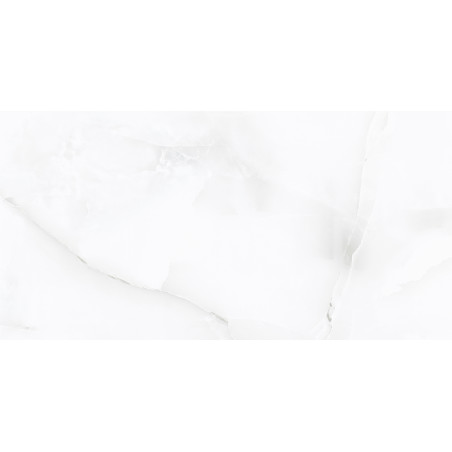  Residential , 19" Onice Gregio 12x24 Polished Porcelain Tile | Global Surfaces 