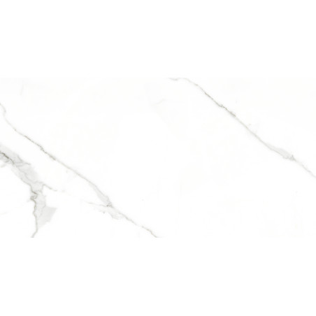  24" X 48" Calacatta Bianco Tt701 12x24 Polished Porcelain Tile | Global Surfaces 