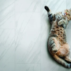 Image 3 of Marble Floor & Wall Tile: Odyssey Collection sold at Floors & Baths Pro's
