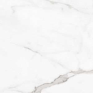 floor tiles Statuario Floor & Wall Tile: Rome Collection | Floors & Baths Pro's