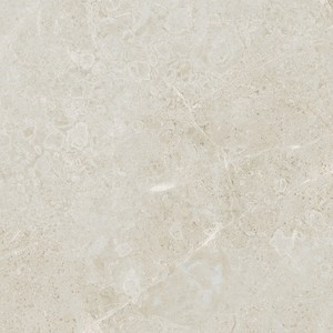 floor tiles Avorio Floor & Tile: Torino Collection | Floors & Baths Pro's