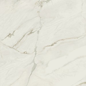 floor tiles Borghini Floor & Tile: Kobe Collection | Floors & Baths Pro's