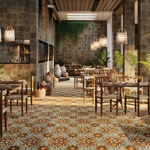 Image 2 of Barna- Born Floor & Wall Tile: Fs Barna Collection sold at Floors & Baths Pro's