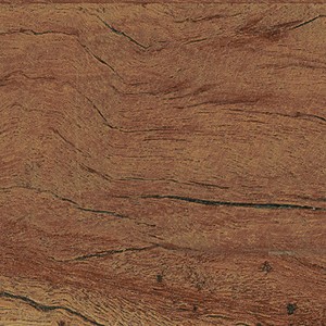 floor tiles Forest- Natural Floor & Tile: Forest Collection | Floors & Baths Pro's