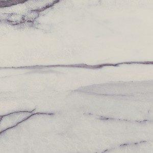 floor tiles Wild Floor & Wall Tile: Amazonas Collection | Floors & Baths Pro's
