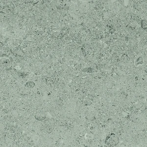  22", AfmBOorXEypa0XO3X7MCpJI2Ey1 vawbhmpuamguw4mvlzfmfhhvkesj Grey Floor & Wall Tile: Shellstone Collection 