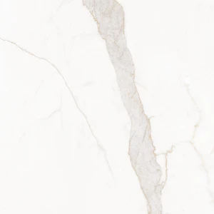  21", AfmBOopI04Cy5TPX2K6CXIgDE0PRb7VyvPh H1XjTJineJN5_2BSEJWA Calacatta Gold Floor & Wall Tile: Blanc Collection 