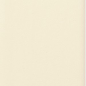 wall tiles Cream Porcelain Wall Tile: Spectre Collection | Floors & Baths Pro's