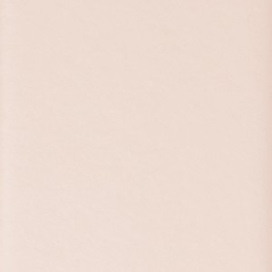wall tiles Rose Porcelain Wall Tile: Spectre Collection | Floors & Baths Pro's