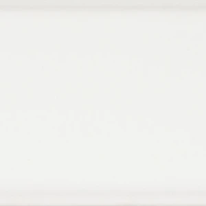 Bianco Lucido Porcelain Wall Tile: Tinte Collection | Floors & Baths Pro's