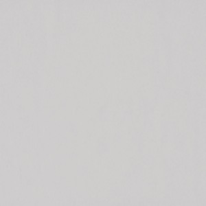 wall tiles Bianco Porcelain Wall Tile: Florentia Collection | Floors & Baths Pro's