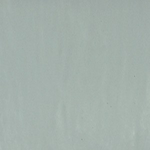 wall tiles Lichene Porcelain Wall Tile: Florentia Collection | Floors & Baths Pro's