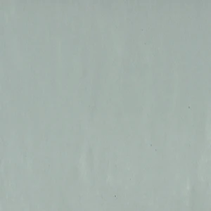 Lichene Porcelain Wall Tile: Florentia Collection | Floors & Baths Pro's